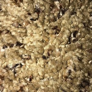 Meet your Posher, Bryan